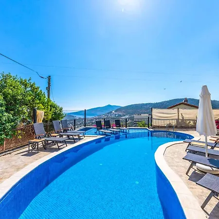 Mahmut * Kalkan
